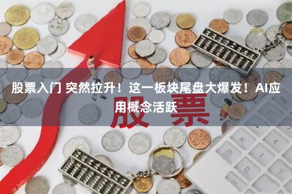股票入门 突然拉升！这一板块尾盘大爆发！AI应用概念活跃