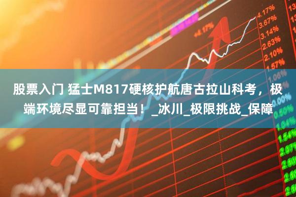股票入门 猛士M817硬核护航唐古拉山科考，极端环境尽显可靠担当！_冰川_极限挑战_保障