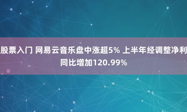 股票入门 网易云音乐盘中涨超5% 上半年经调整净利同比增加120.99%