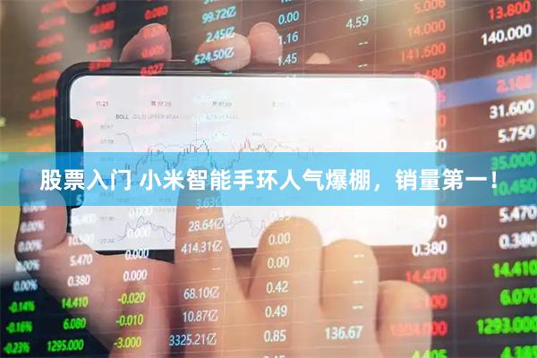 股票入门 小米智能手环人气爆棚，销量第一！