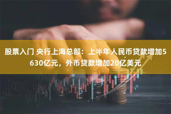 股票入门 央行上海总部：上半年人民币贷款增加5630亿元，外币贷款增加20亿美元